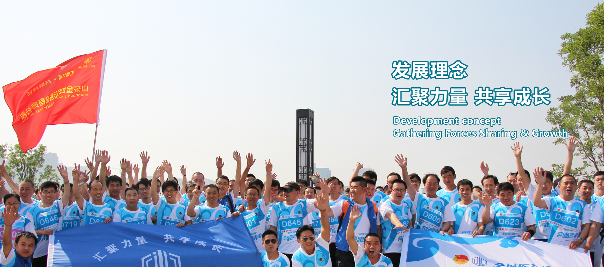 Shandong jincheng pharmaceutical group co. LTD